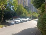 小区绿化