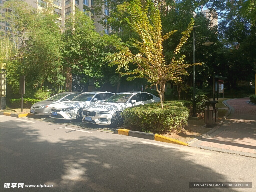 小区绿化