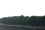城市公园绿化