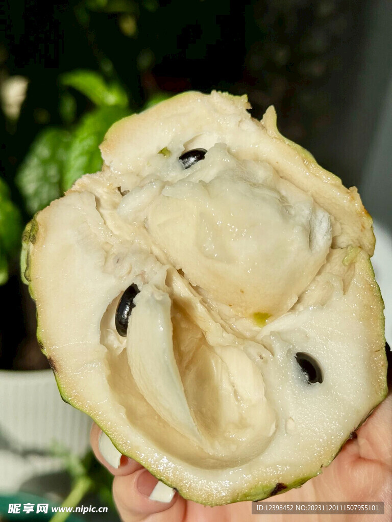 番荔枝