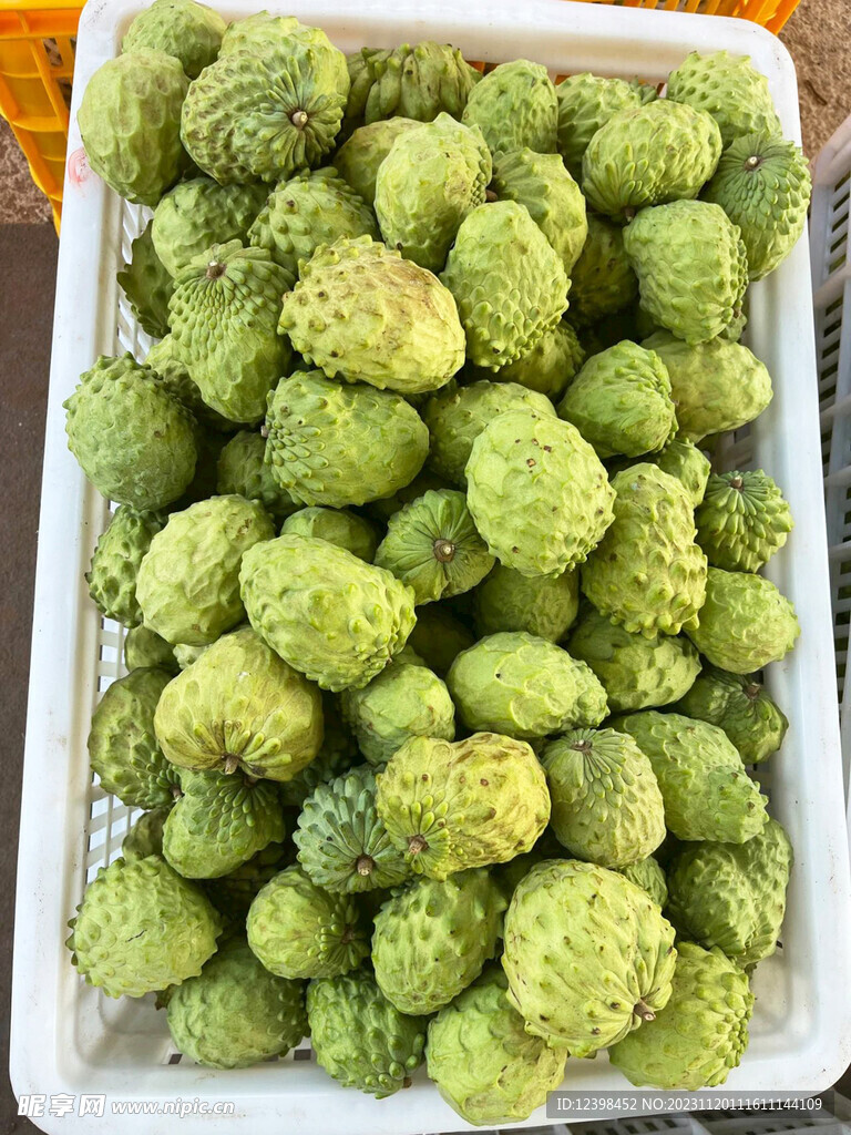 番荔枝