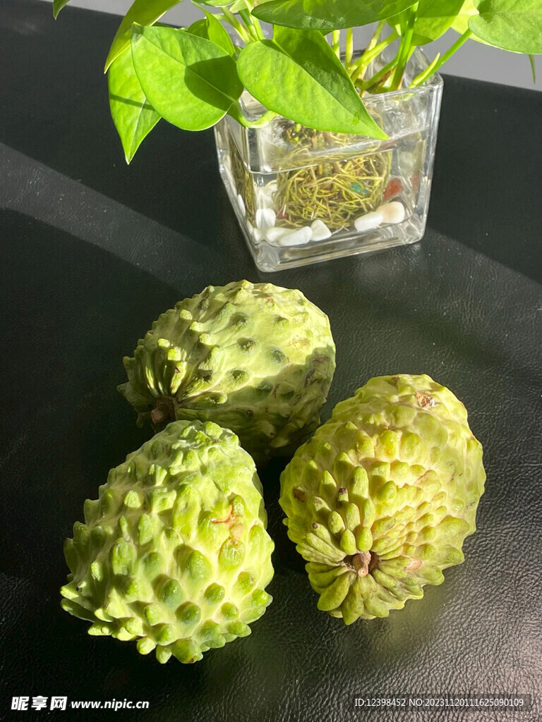 番荔枝