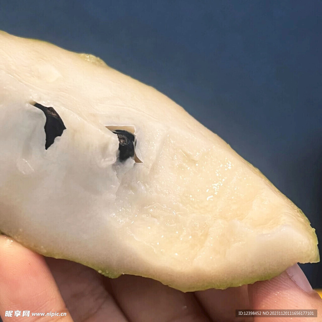 番荔枝