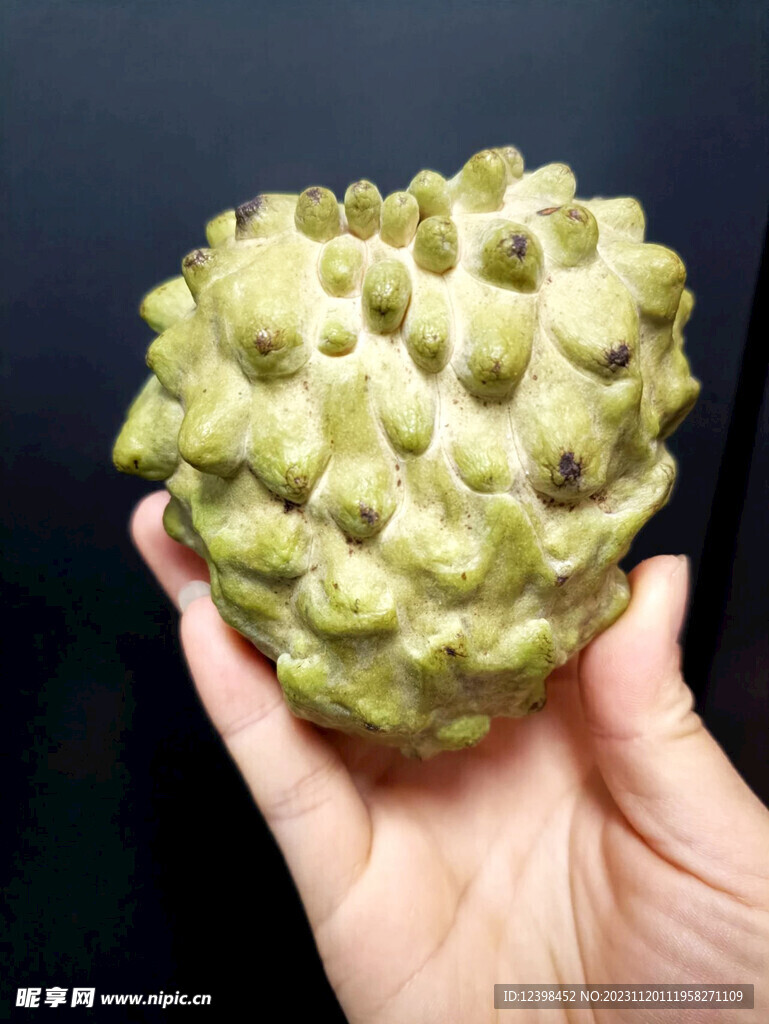 释迦果