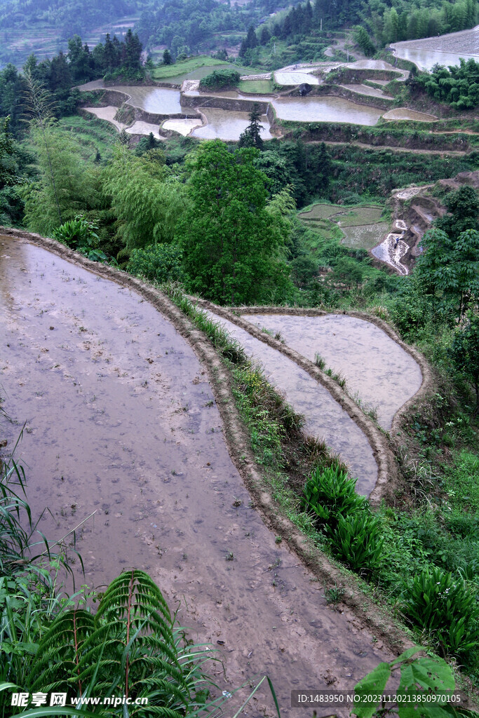 即将蓄水的梯田