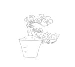 线稿插画桌面松