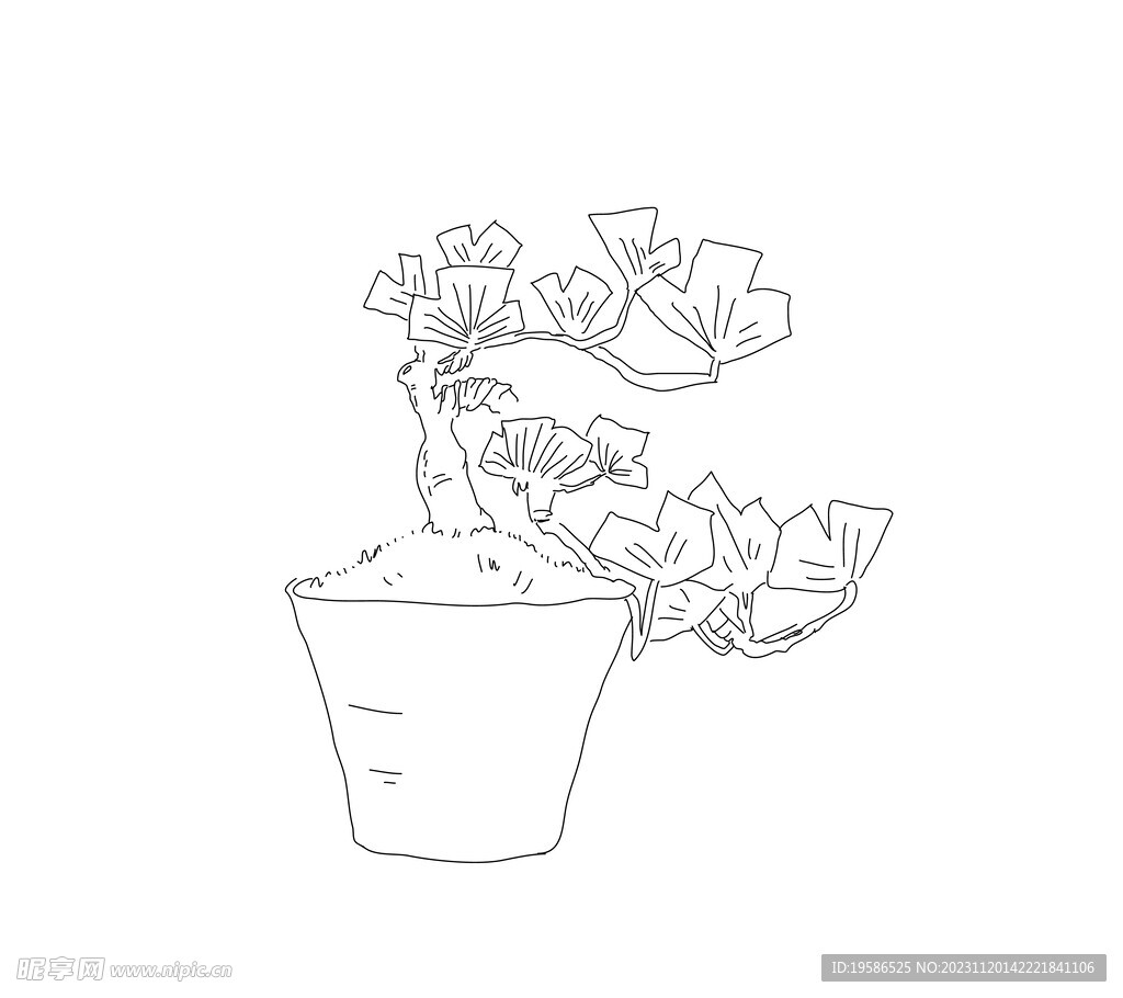 线稿插画桌面松