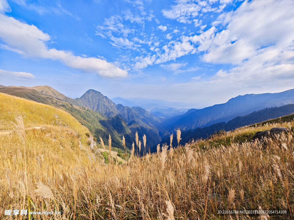 山顶风景