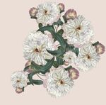 数码印花