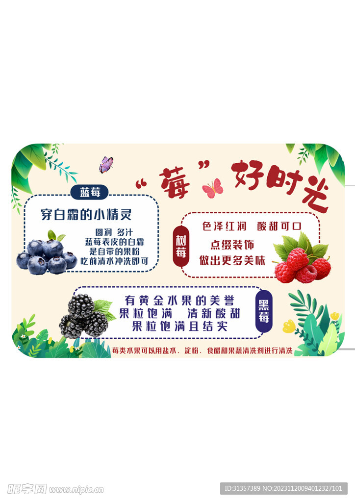 莓好时光