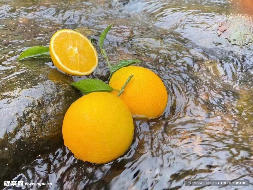 脐橙
