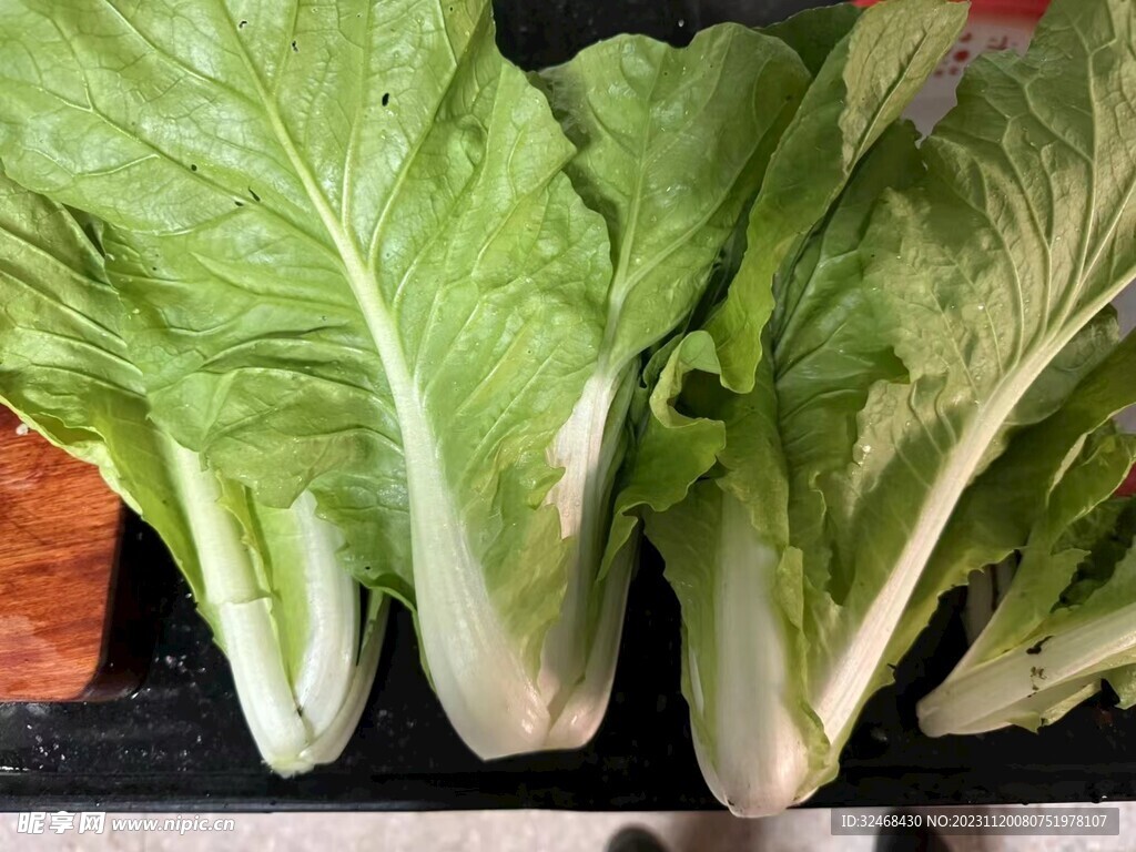 大白菜