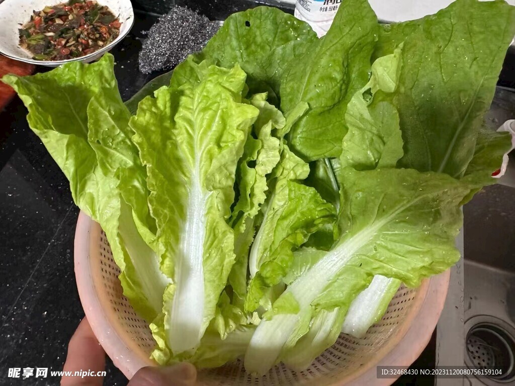 大白菜