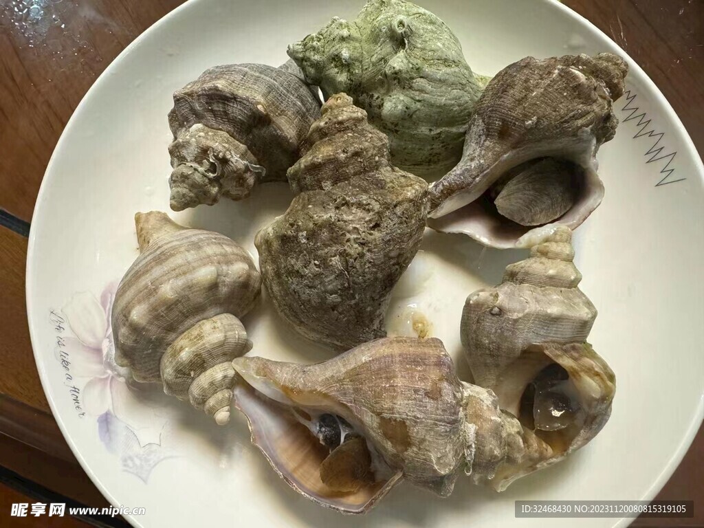 田螺