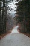 林间道路