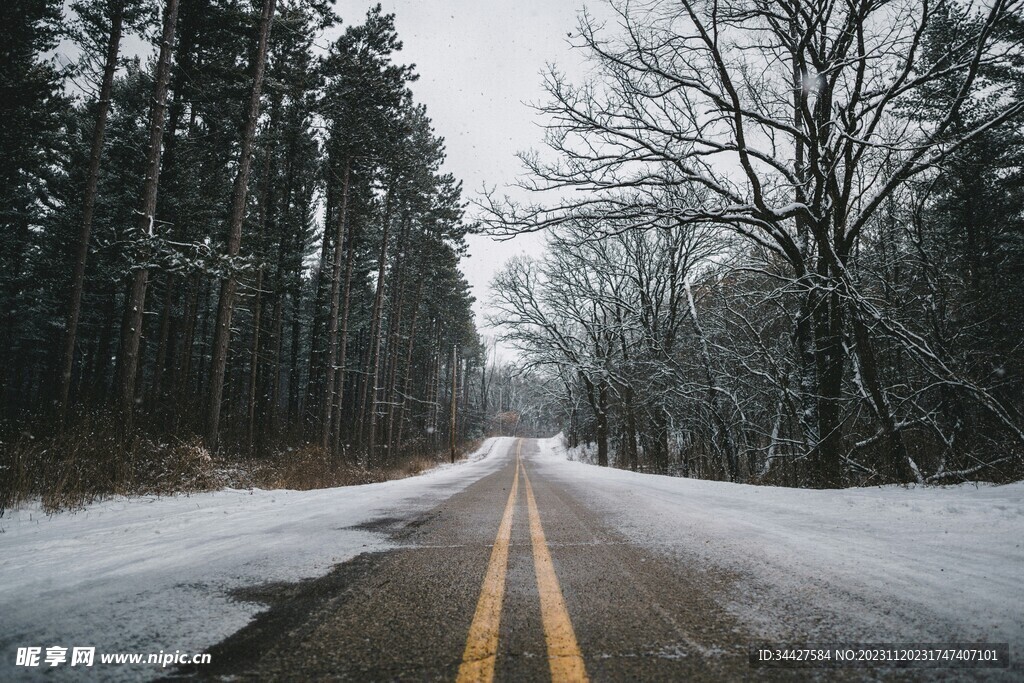 雪中树林和道路