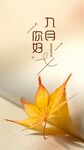 你好 九月