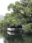 临海古长城