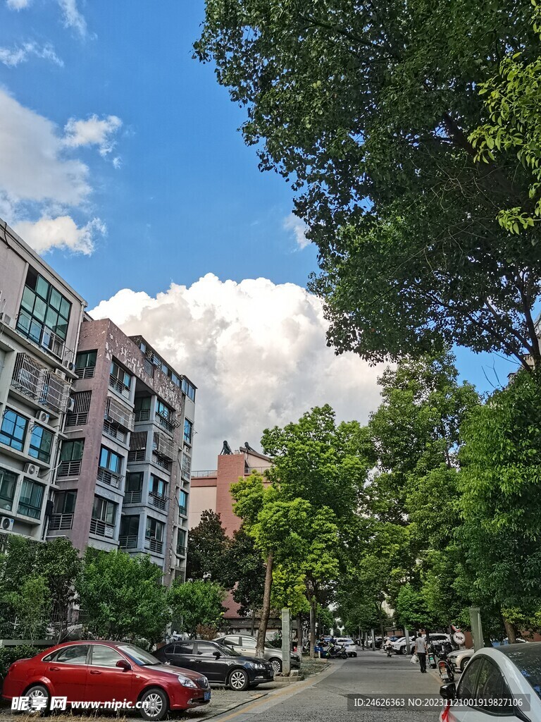 天空 房子  绿树 