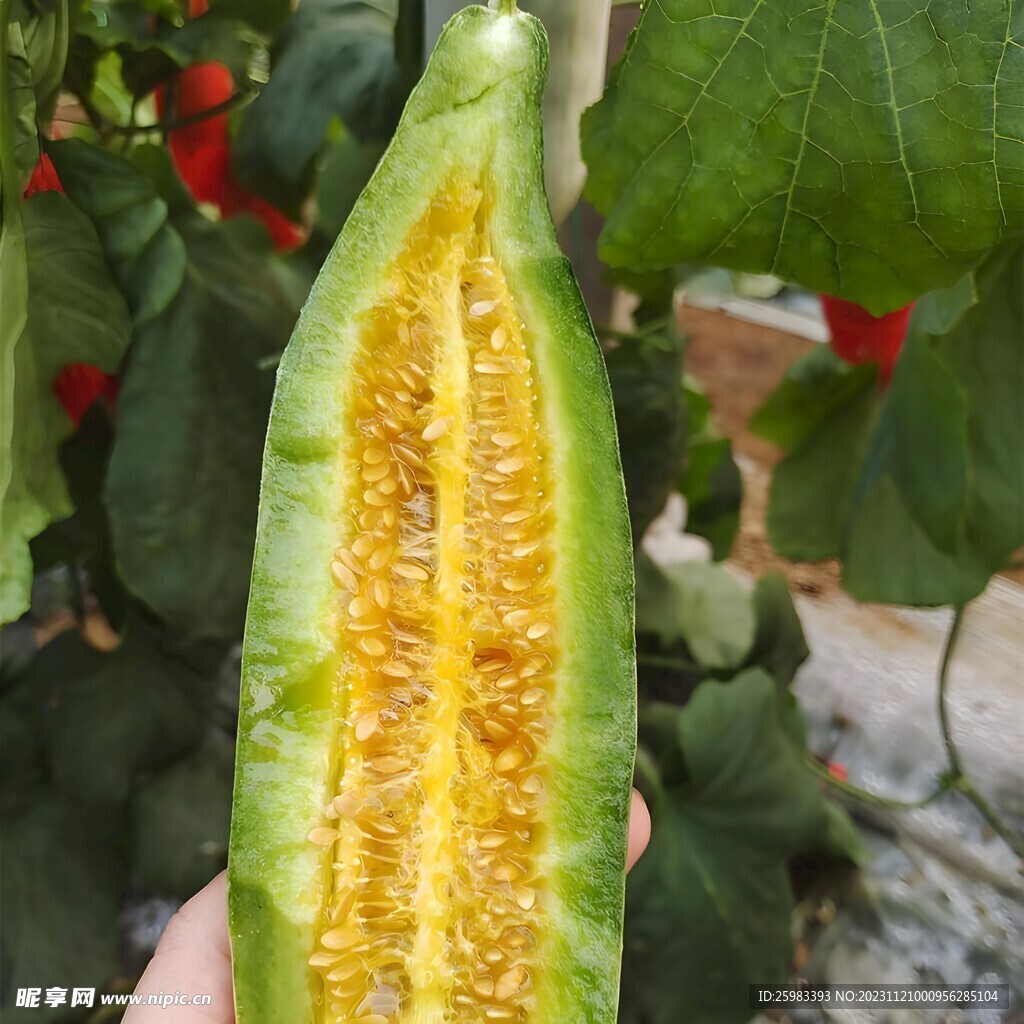 羊角蜜瓜