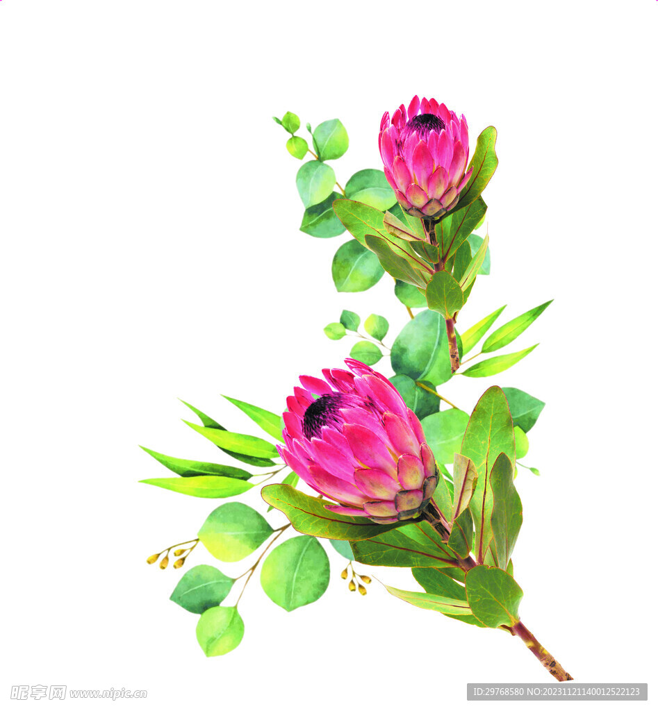 花