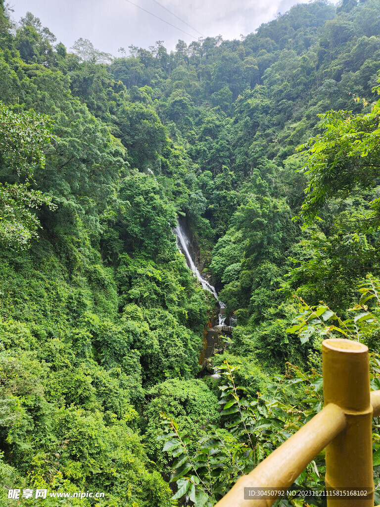 山
