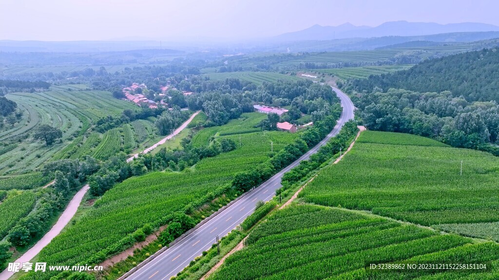 农村公路
