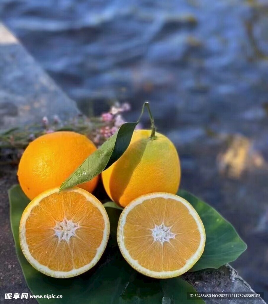 脐橙