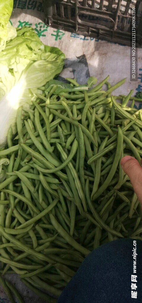 豆角