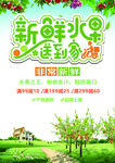 新鲜水果送到家