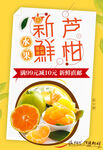 新鲜芦柑