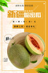哈密瓜