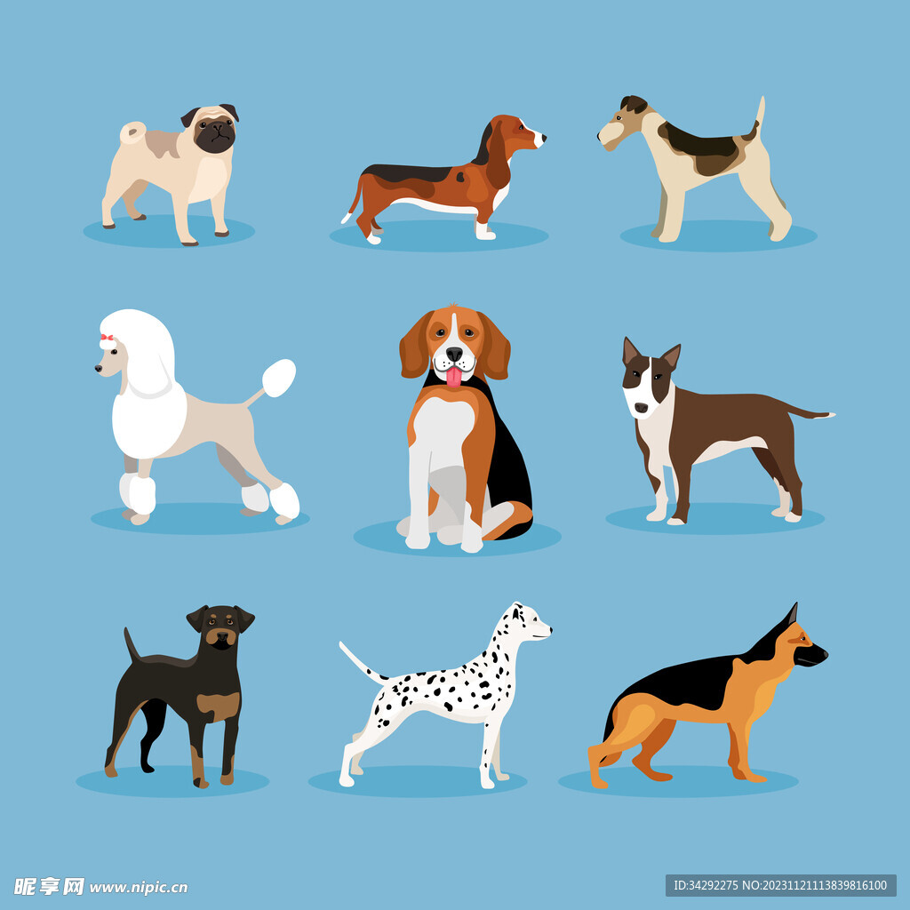 狗插画