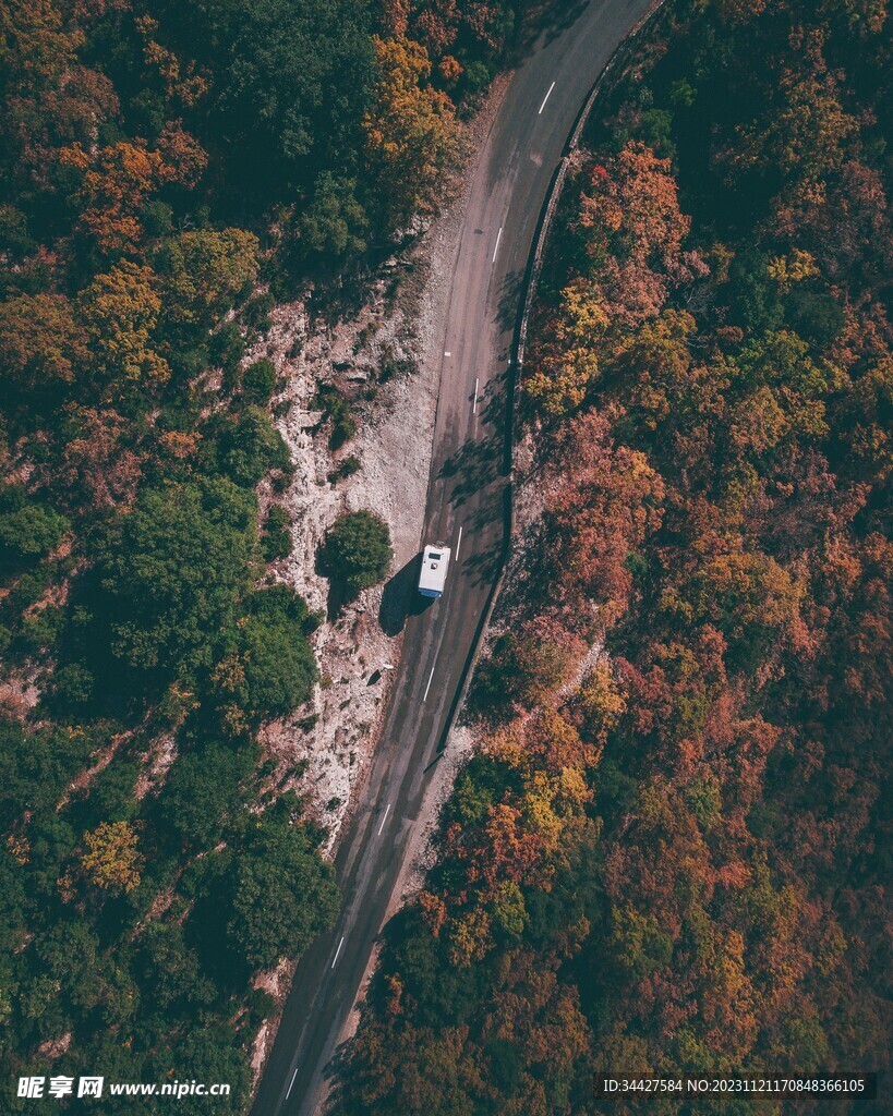 林间道路鸟瞰图