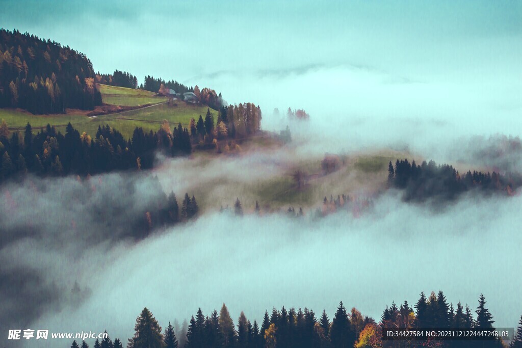 云海山林风景