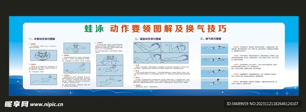 蛙泳动作要领图解及换气技巧