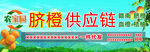 赣南脐橙
