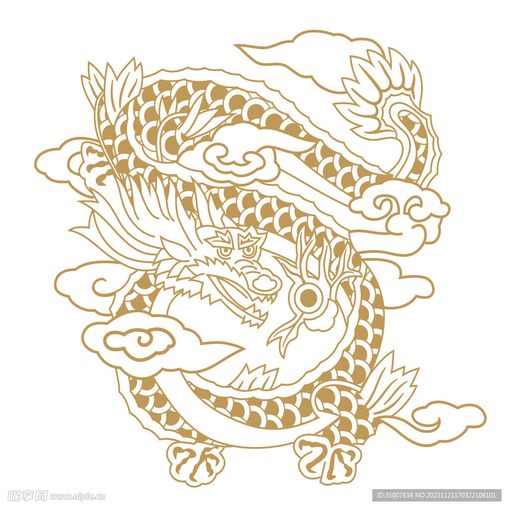 龙