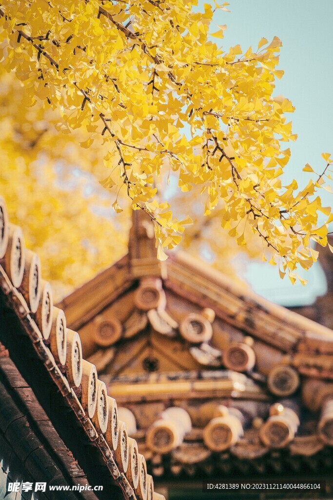 深秋的建筑