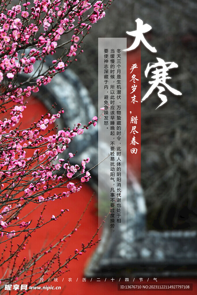 大寒 