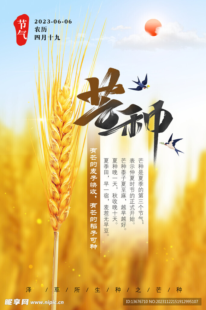 芒种 节气 