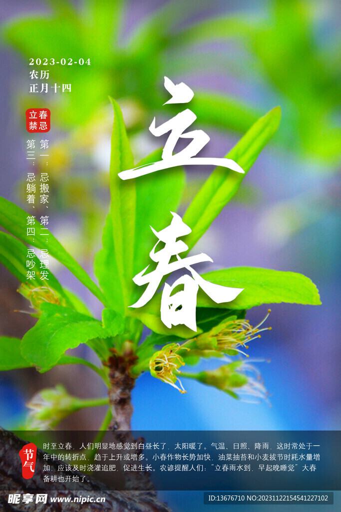 立春 发芽