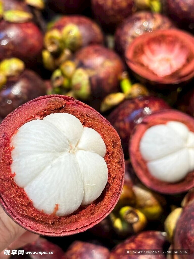 山竹