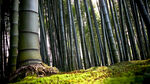 山水风光 自然风光 山水风景 
