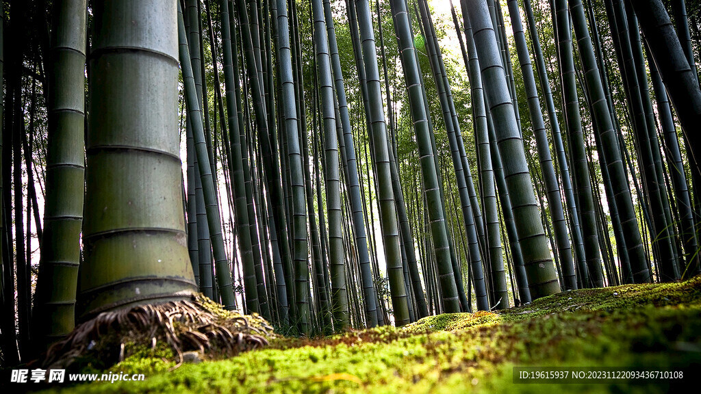 山水风光 自然风光 山水风景 