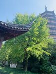 江南