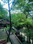 虎丘