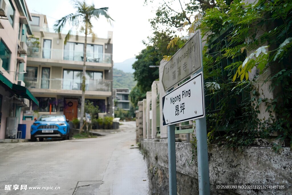 山上别墅