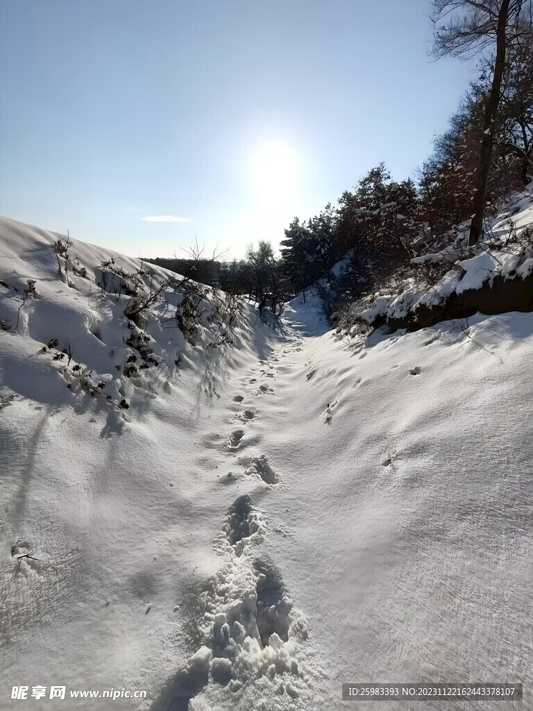 积雪的山区