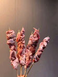 美食烧烤串